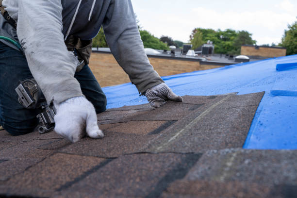Best Roof Insulation Installation  in Chalfant, CA